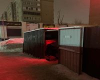 Тело 17-летней тулячки нашли сложенным пополам у мусорки в Воронеже