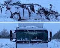 В Тамбовской области супруги разбились в аварии с грузовиком