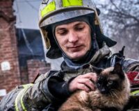 В Астрахани из горящего дома Ивановой огенеборцы спасли кота