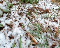 В Астраханской области с 9 по 11 февраля ожидаются снег с дождем и заносы на дорогах