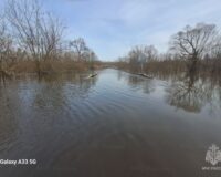 В Тамбовской области из-за паводка затопило три низководных моста