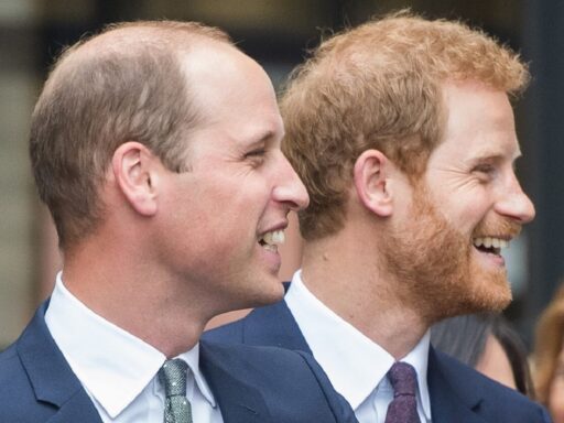 Сокрушительный удар по монархии: принцы Гарри и Уильям угодили в педофильский скандал