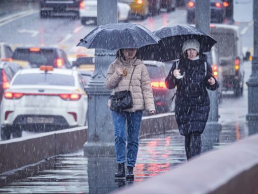 Весна вносит правки: Вильфанд предупредил о нестабильной погоде в Москве - снег и морозы