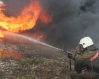 Тамбовские спасатели при тушении пожара в поле нашли труп мужчины