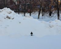 В Иванове прокуратура за метровые сугробы и нечищеные улицы возбудила дело