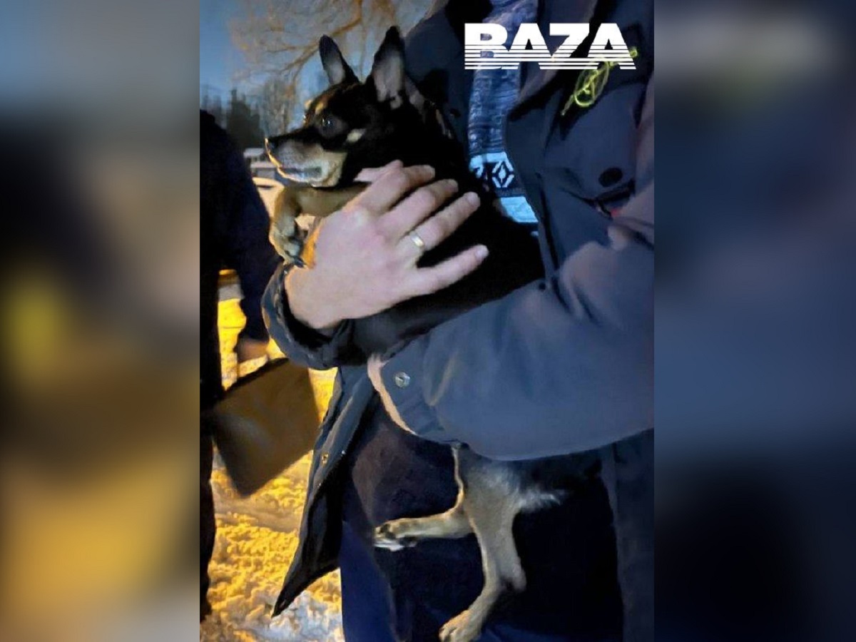 заканчиваться радостный. радостный мужчина. радостная женщина. женщина радуется. открытка поздравляю с окончанием сессии.