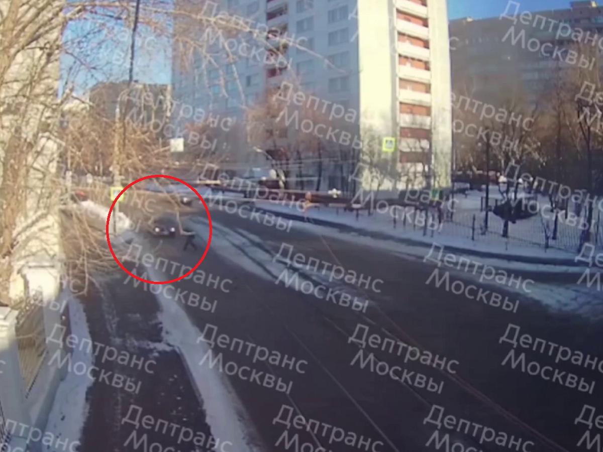 Депртанс опубликовал видео с наездом машины на Льва Рубинштейна