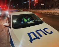 ДПС Курганская область