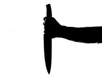 Измена, которой не было: в Рязани мужчина семь раз ударил ножом сожительницу