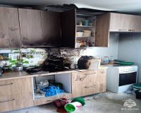 кошки пожар