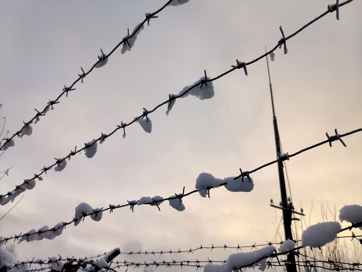 Maksim Konstantinov/Global Look Press