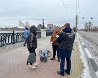 массовая драка