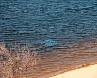 Севастополь