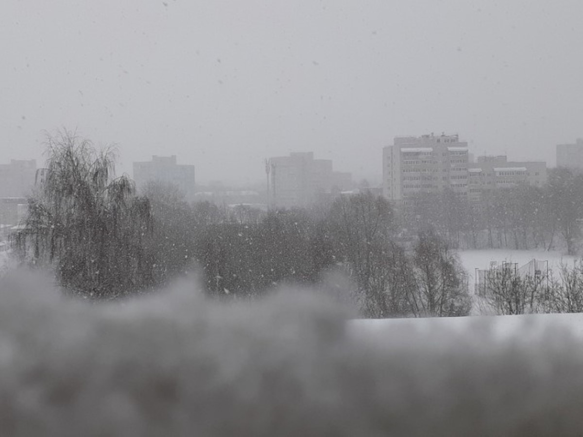 снег метель