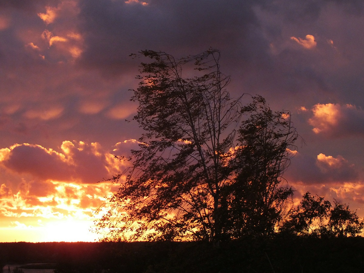 Страну ждут опасные бедствия: пророчество экстрасенса из Индии готовит Россию к большому потрясению