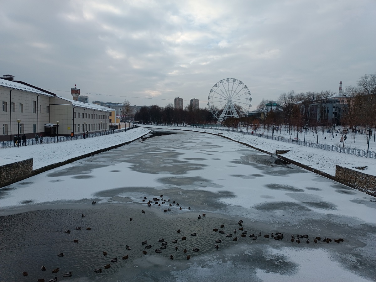 В Иванове более 3 тысяч человек искупались на Крещение в парке 1905 года