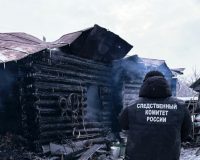 В Тамбовской области при пожаре погибла мать-пенсионерка и ее сын