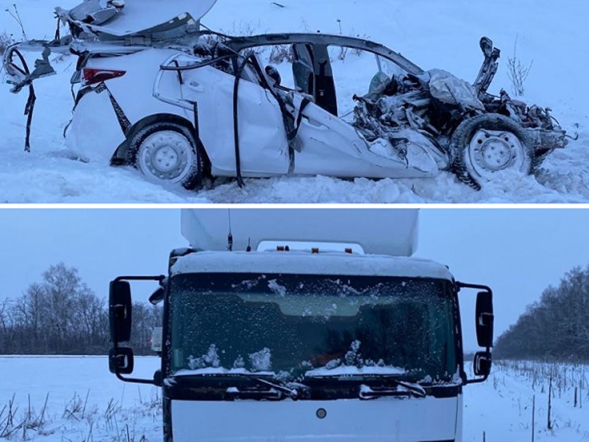 В Тамбовской области супруги разбились в аварии с грузовиком