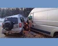 В Тамбовской области в аварии с «Шевроле» и фургоном погибли муж и жена