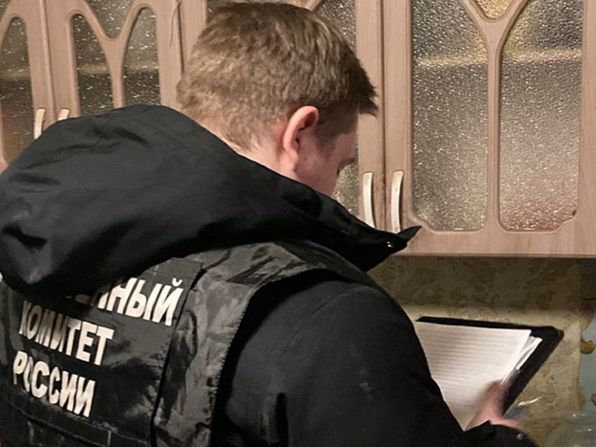 Житель Тамбовской области убил отца из-за его пьянства