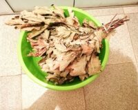 В Великом Новгороде 18-летний молодой человек обокрал друга в сауне