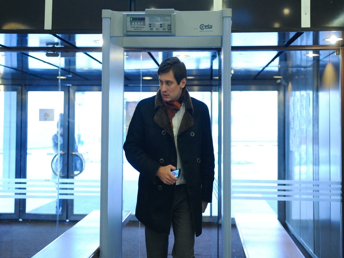 Дмитрий Гудков*