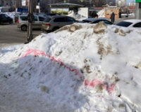 В городе Рязани неизвестные "отравили" семь бродячих собак