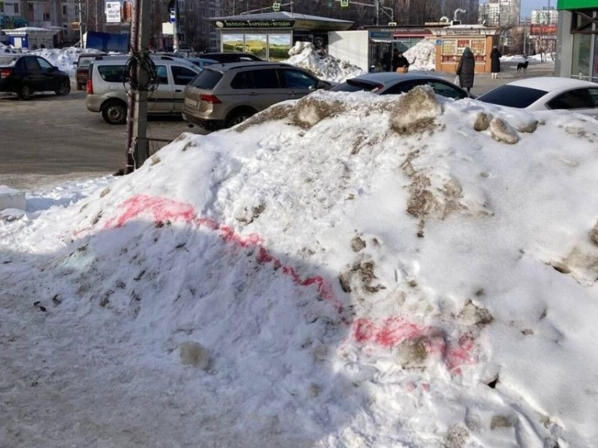 В городе Рязани неизвестные "отравили" семь бродячих собак