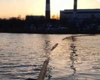 Масляное пятно на озере ТЭЦ-2 в Смоленске