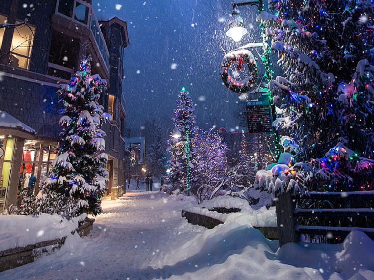 елки новый год