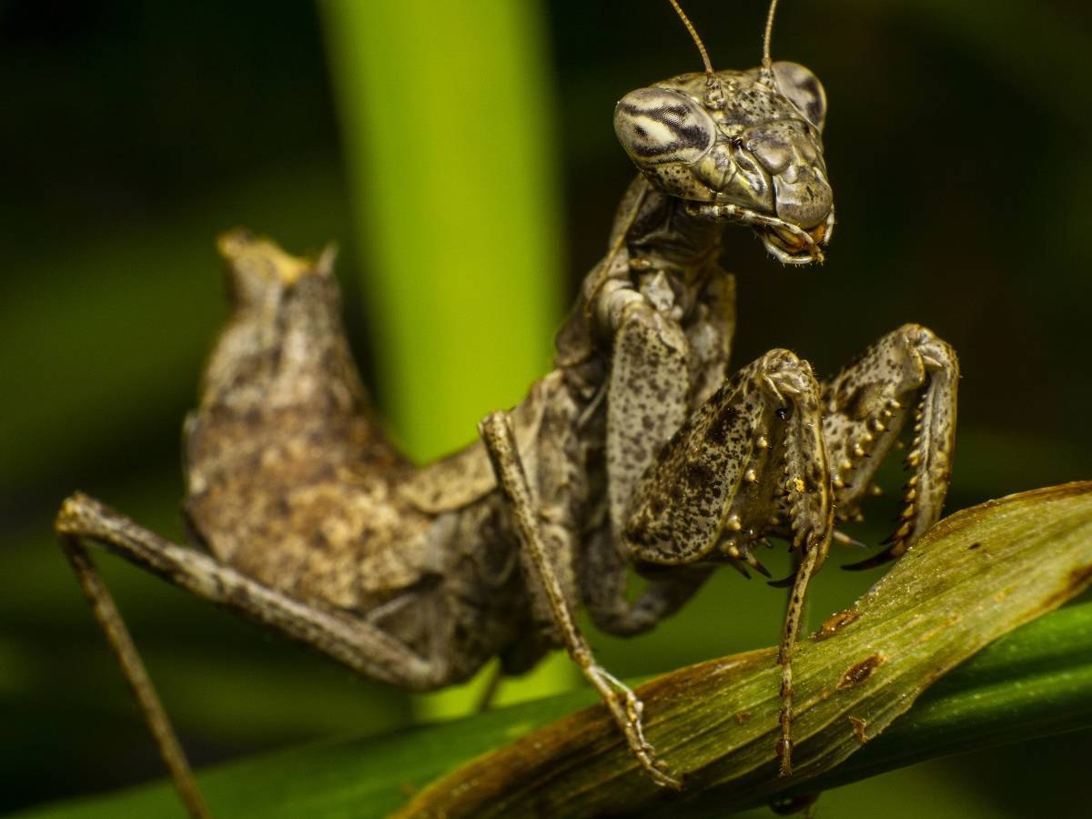 Гороскоп на 18 февраля: Лев и Дева стабилизируют свой бюджет, Козерога ждет бурный роман