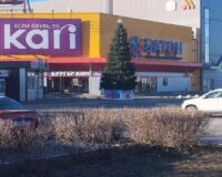 елка весной