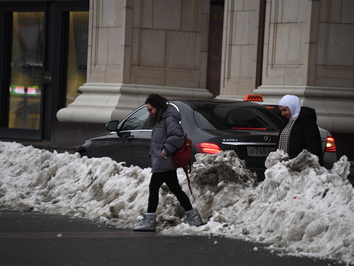 "Главная проблема для москвичей": Вильфанд предупредил об опасных последствиях весенней погоды
