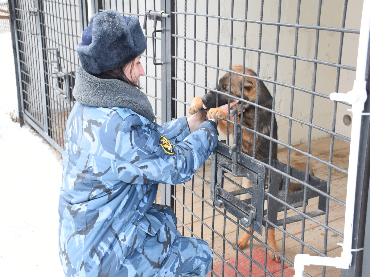 На службу в новгородский УФСИН из Архангельска прибыло хорошее пополнение