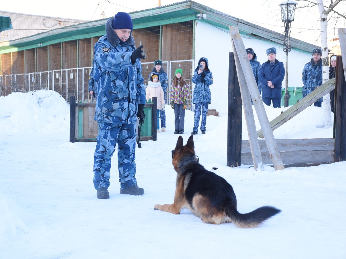 Новгородские кинологи провели экскурсию для детей участников СВО
