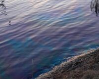 Масляное пятно на озере ТЭЦ-2 в Смоленске