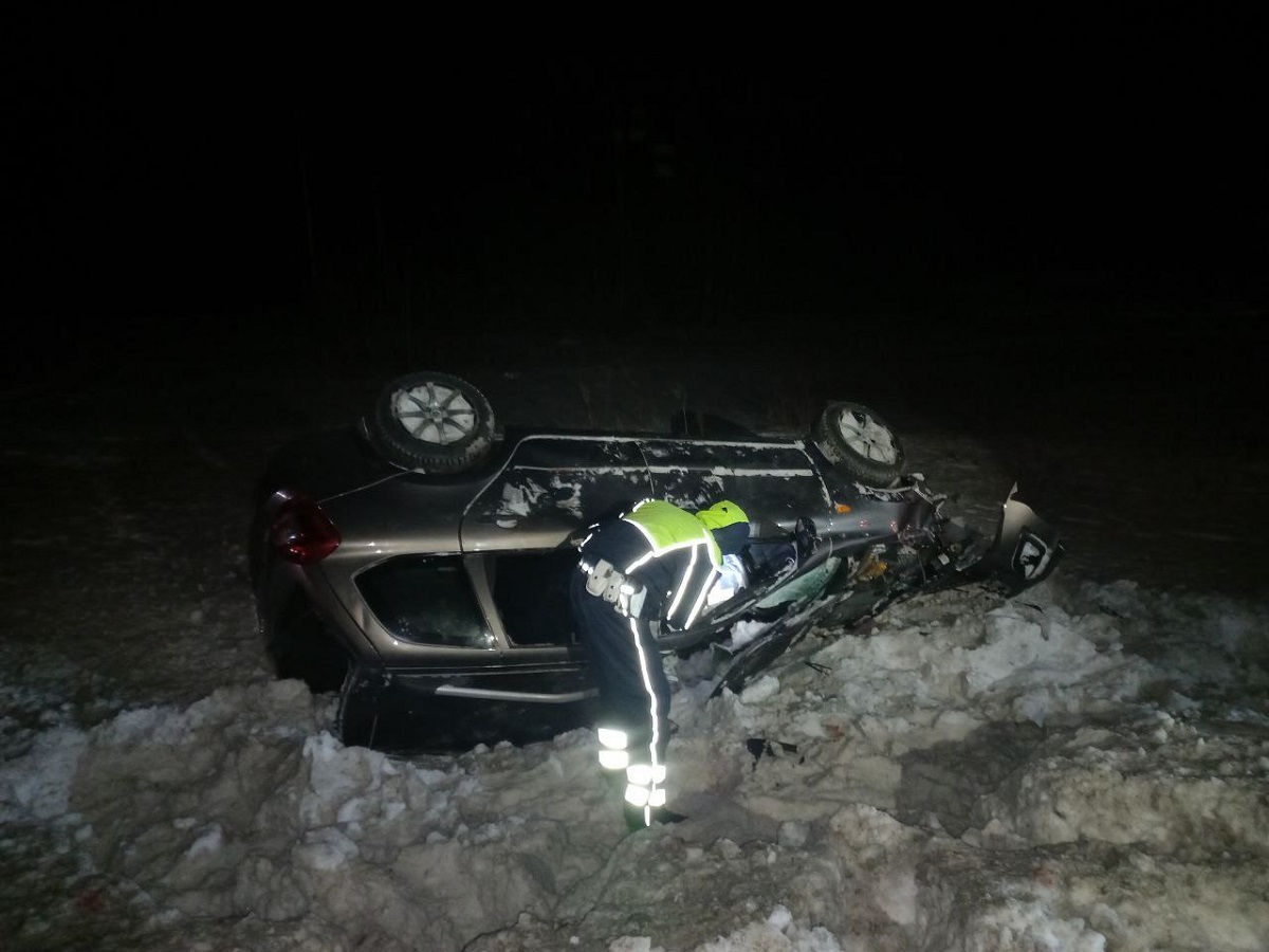 17-летний спортсмен погиб под Верхней Салдой в ДТП с лосем