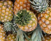 Голую девушку увезли в психушку из супермаркета в Москве после молитвы ананасам