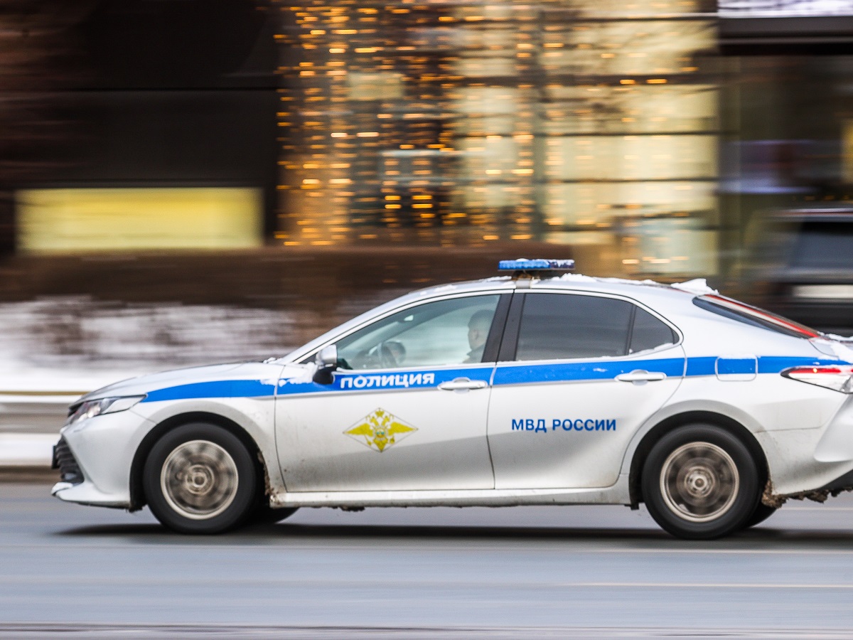 марион котийяр влюбись в меня если осмелишься. отец перепутал дочку с женой. совратила ребенка. отец перепутал дочку с женой. отец совратил несовершеннолетнюю.