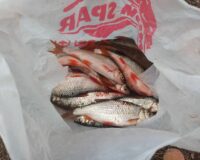 Рыбная продукция