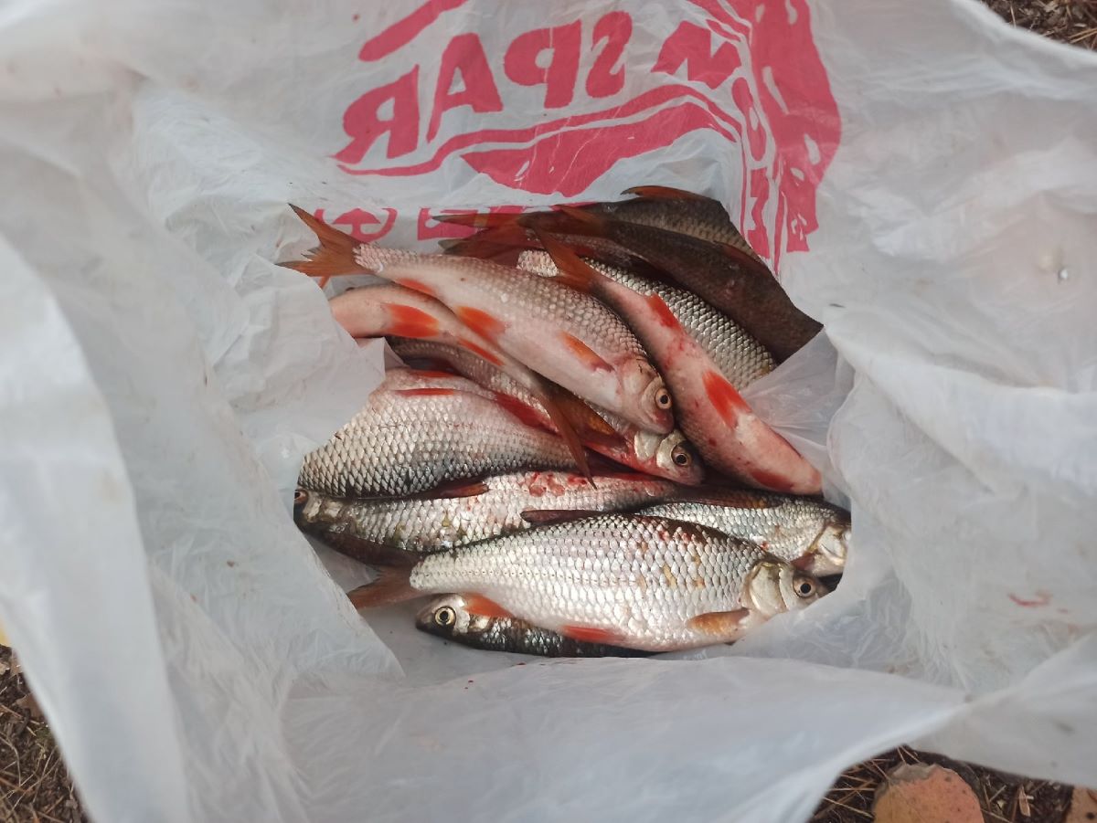 Рыбная продукция