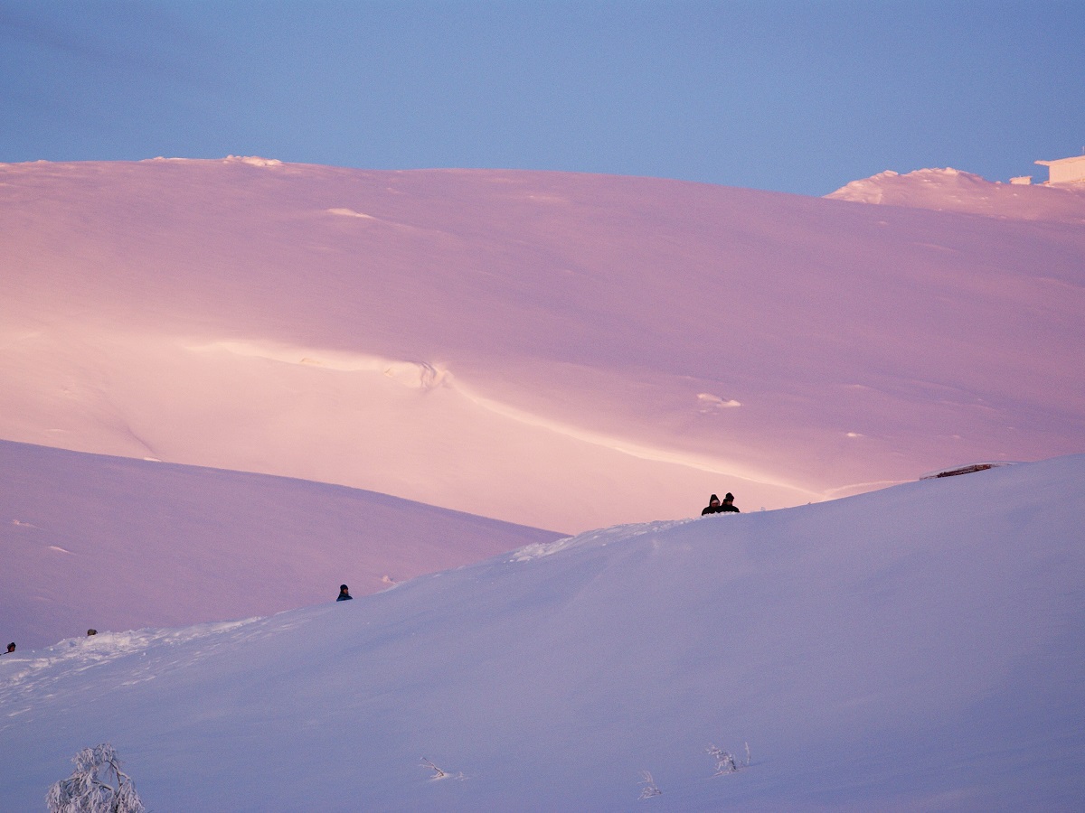 суровая зима