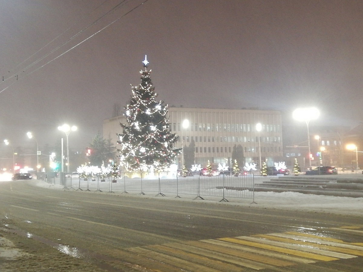 Тамбовскую область накрыл снегопад, в ближайшие часы ожидается туман