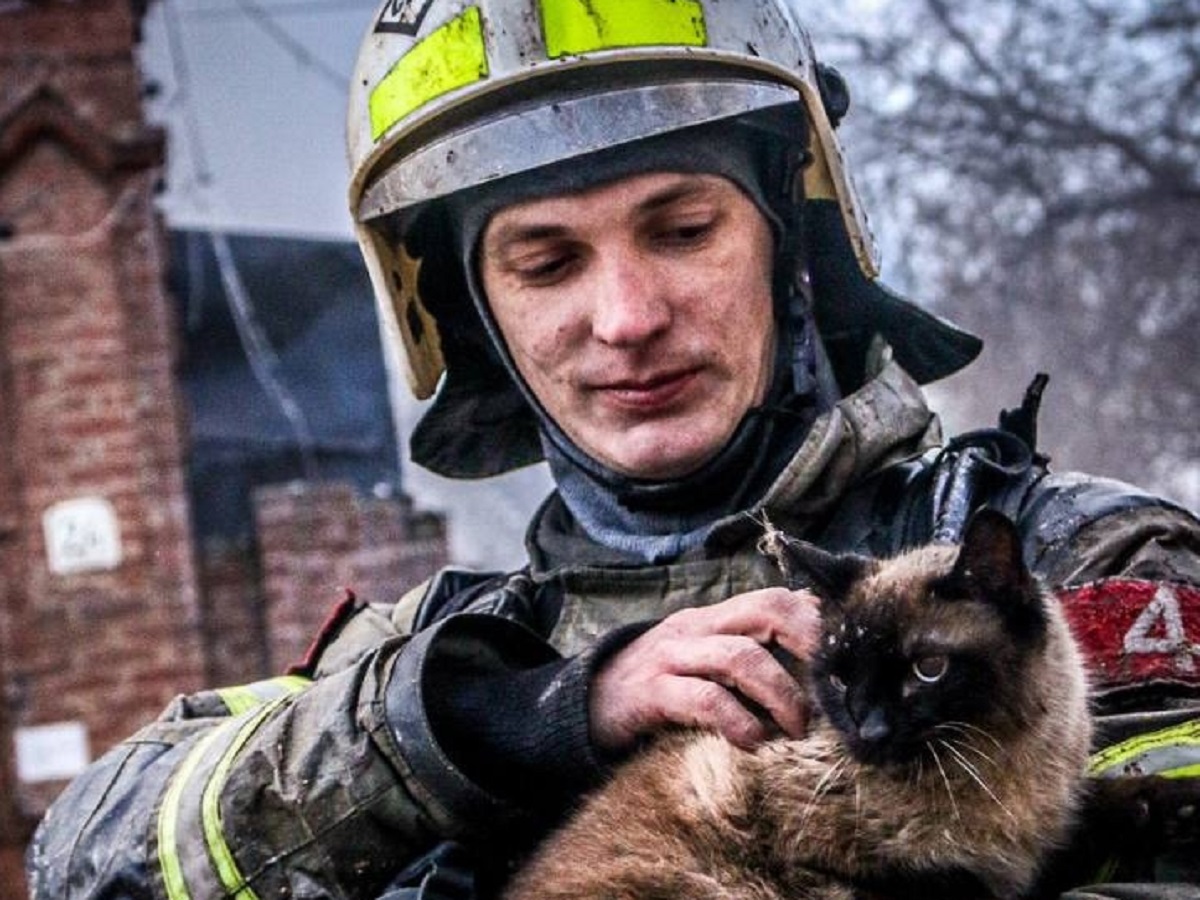 В Астрахани из горящего дома Ивановой огенеборцы спасли кота