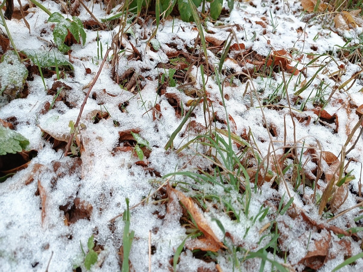 В Астраханской области с 9 по 11 февраля ожидаются снег с дождем и заносы на дорогах