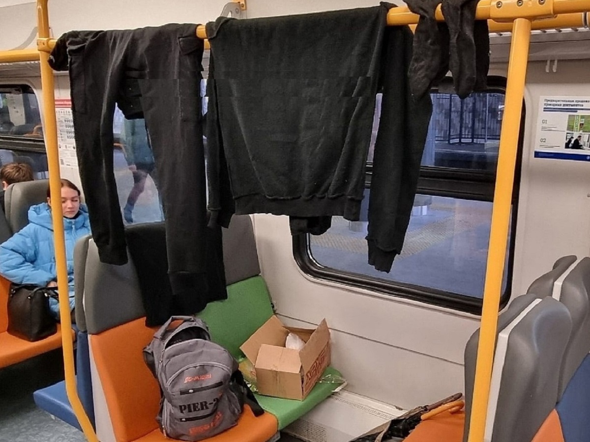 В Подмосковье уволены охранники за белье и носки в вагоне электрички МЦД