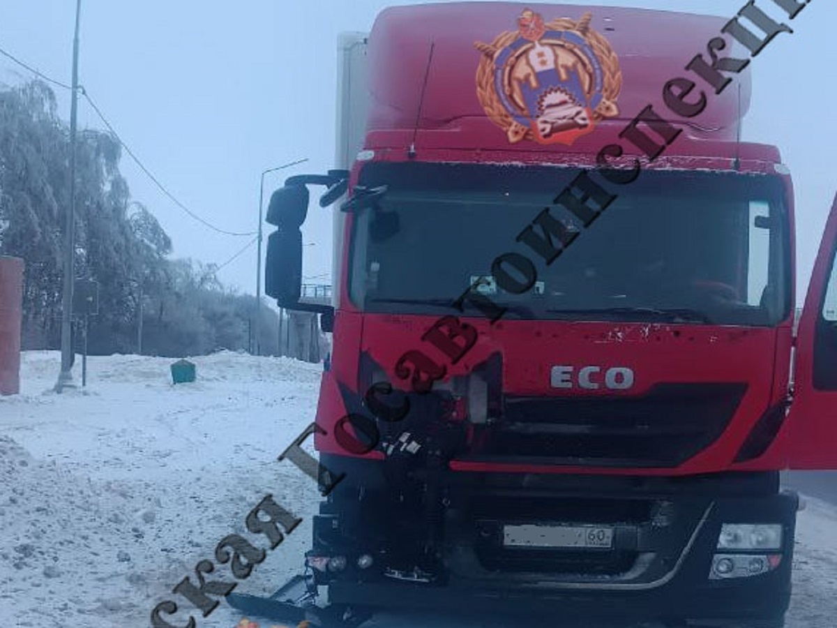 В Тульской области фура сбила насмерть перебегавшего дорогу парня