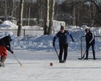 "Весна наступает первого марта": Вильфанд сделал неутешительный прогноз о завершении зимы
