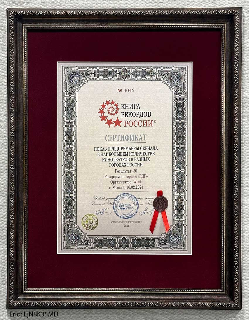 Wink_ГДР_рекорд_сертификат