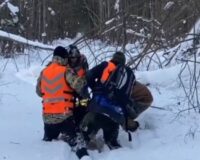 заблудился в лесу